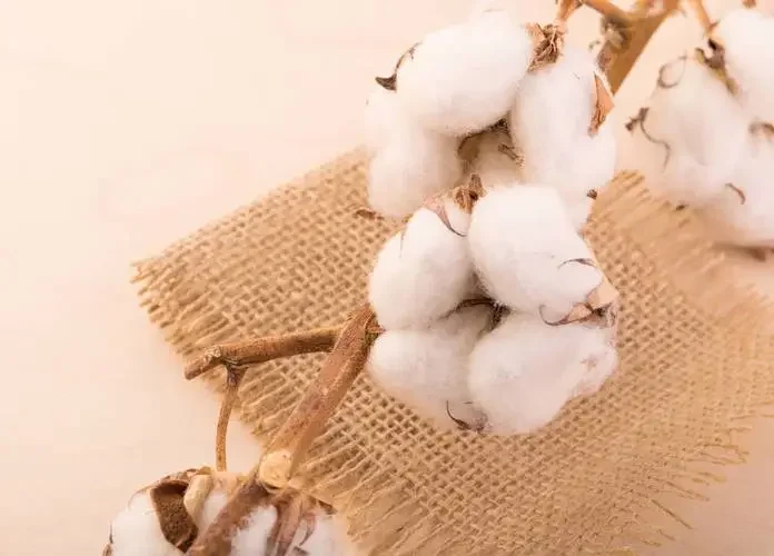 Các loại vải thường dùng để may quần áo là gì?